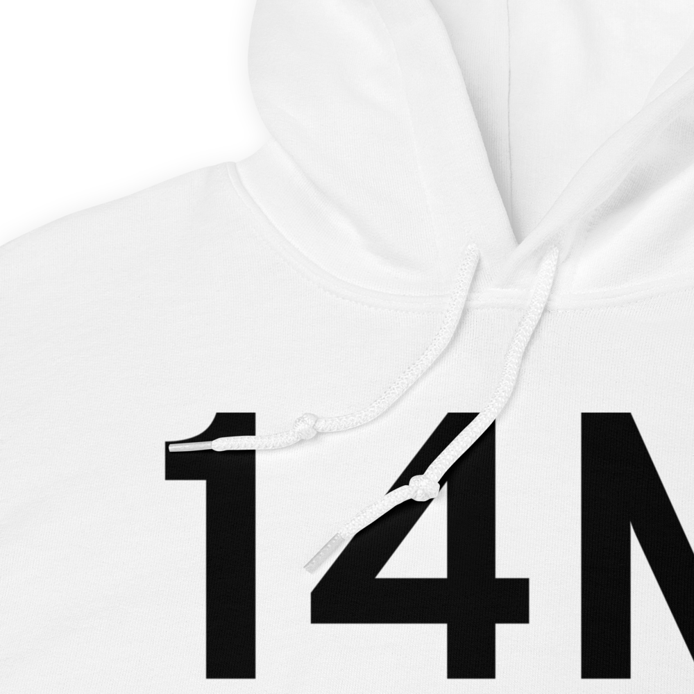 Hollandale (K14M) Airport Hoodie Sweatshirt 