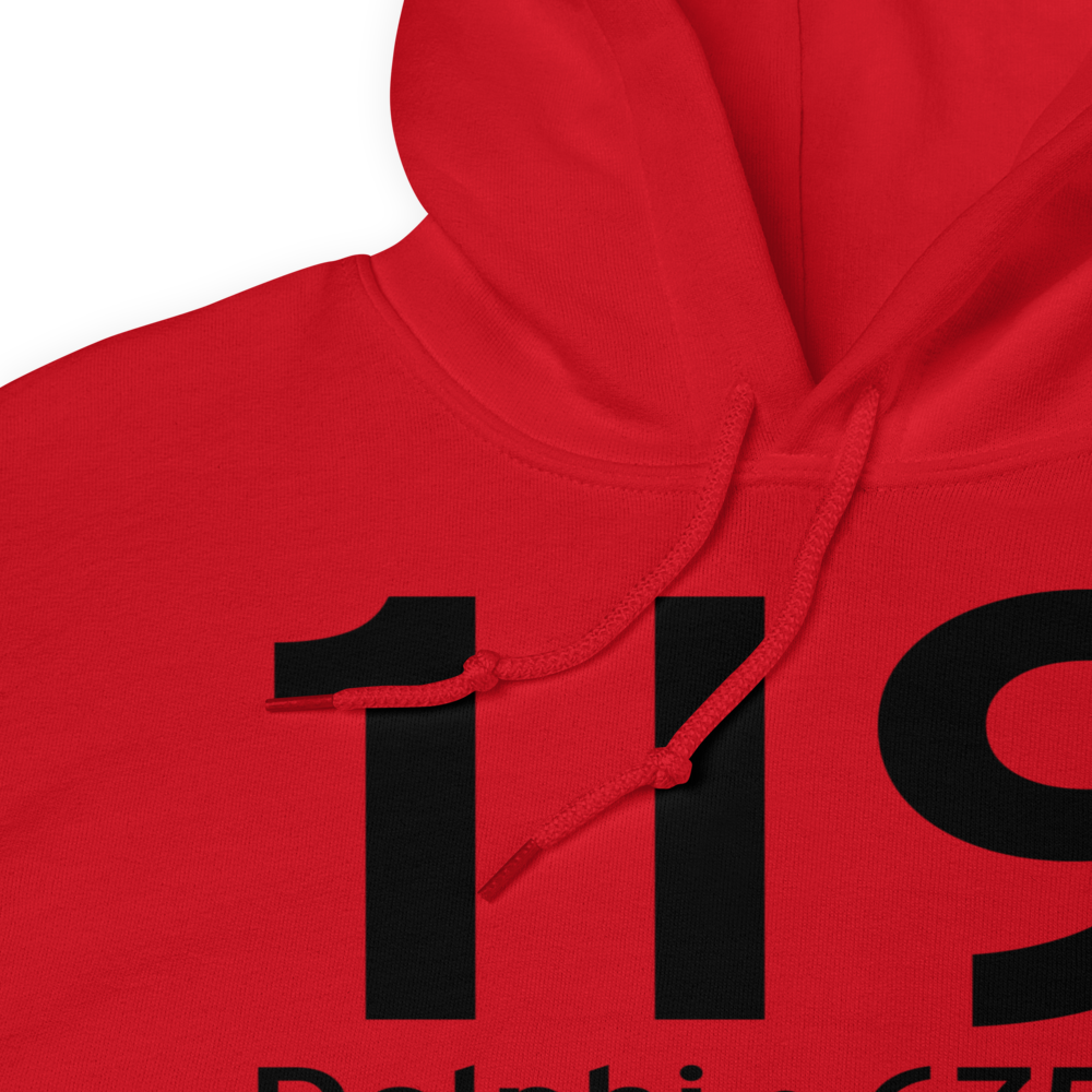 Delphi (1I9) Airport Hoodie Sweatshirt 