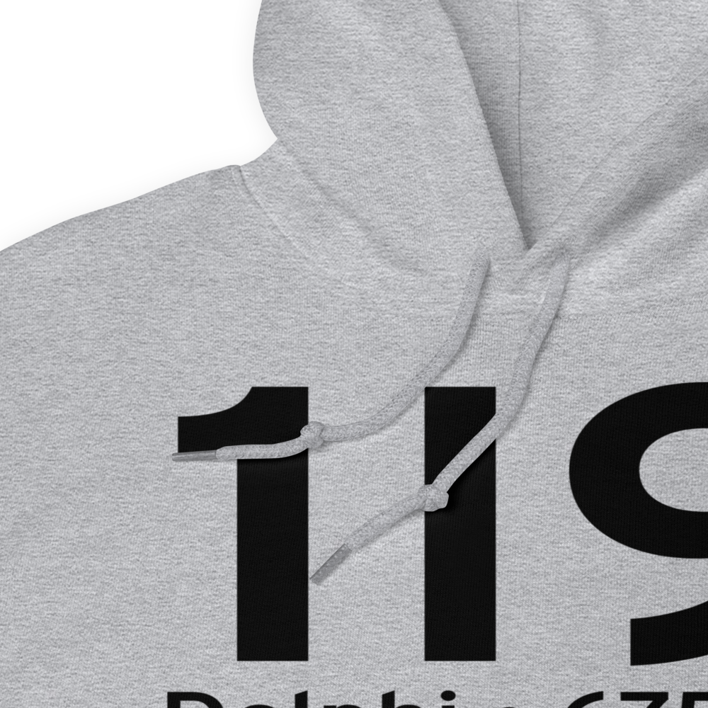 Delphi (1I9) Airport Hoodie Sweatshirt 