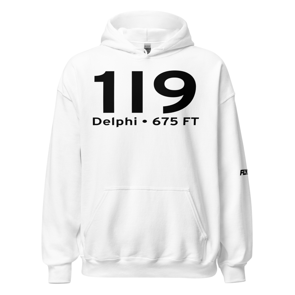 Delphi (1I9) Airport Hoodie Sweatshirt 