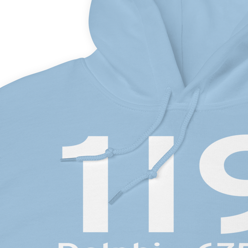 Delphi (1I9) Airport Hoodie Sweatshirt 