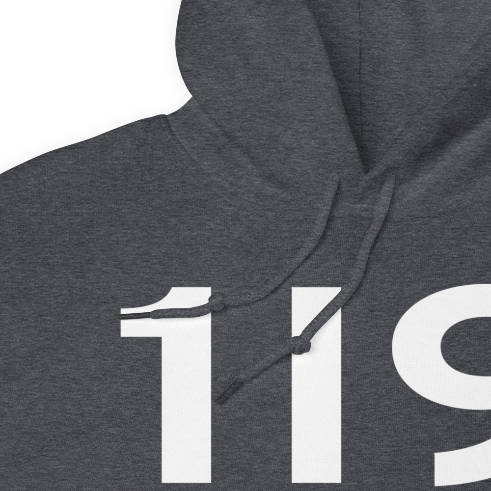 Delphi (1I9) Airport Hoodie Sweatshirt 