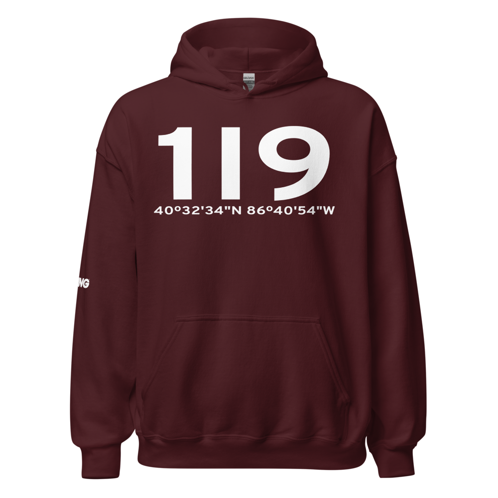 Delphi (1I9) Airport Hoodie Sweatshirt 