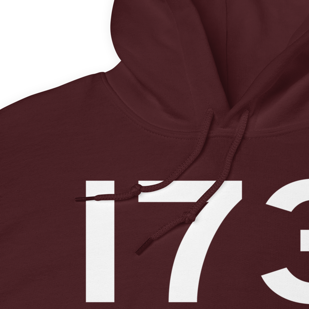 Dayton (KI73) Airport Hoodie Sweatshirt 