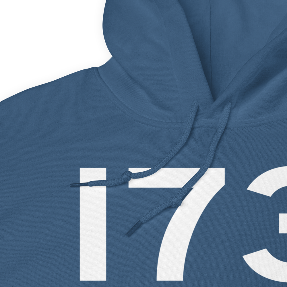 Dayton (KI73) Airport Hoodie Sweatshirt 