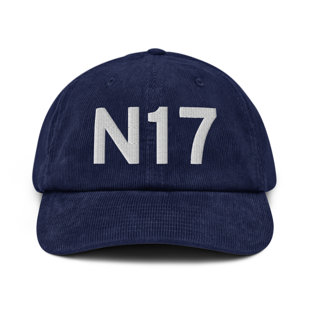 Vaughn (N17) Airport Hat 