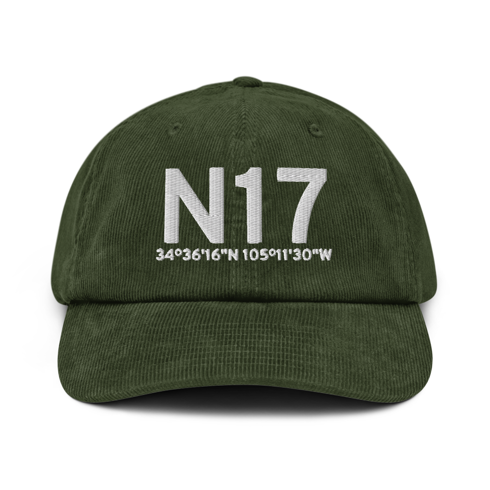 Vaughn (N17) Airport Hat 