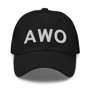 Arlington (KAWO) Airport Hat