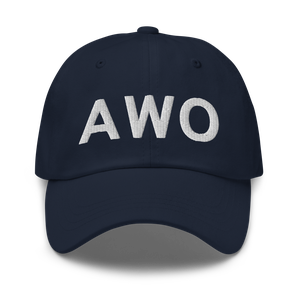 Arlington (KAWO) Airport Hat