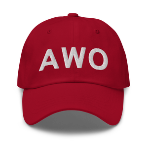 Arlington (KAWO) Airport Hat