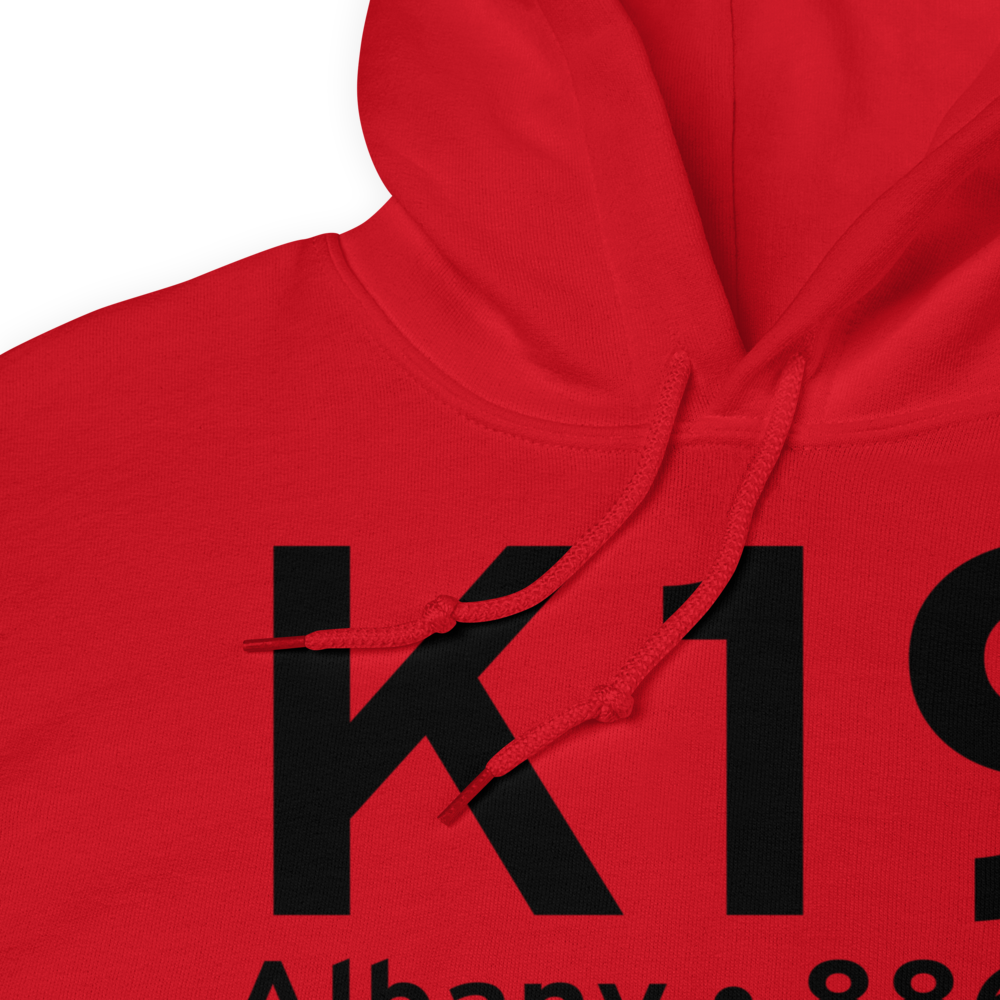 Albany (KK19) Airport Hoodie Sweatshirt 