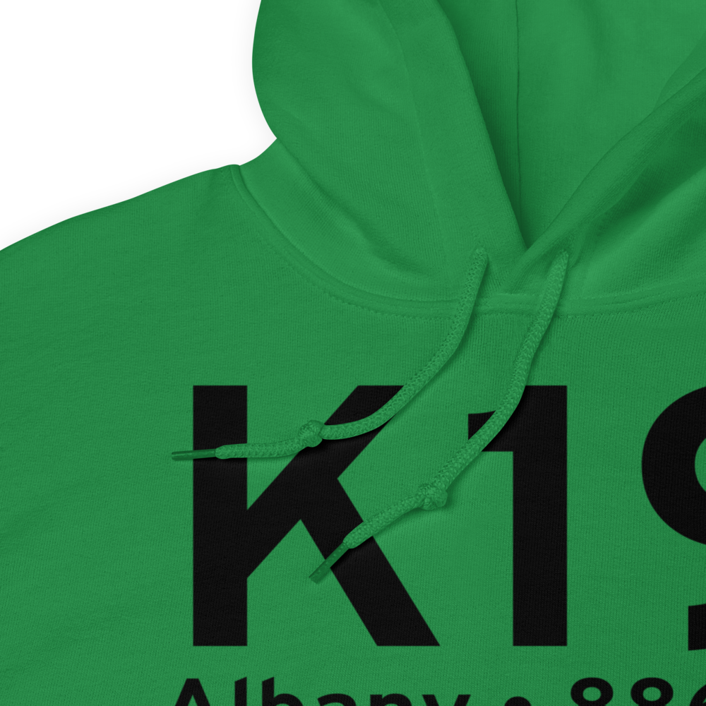 Albany (KK19) Airport Hoodie Sweatshirt 