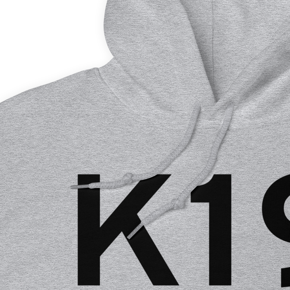 Albany (KK19) Airport Hoodie Sweatshirt 
