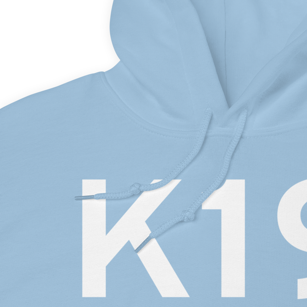 Albany (KK19) Airport Hoodie Sweatshirt 