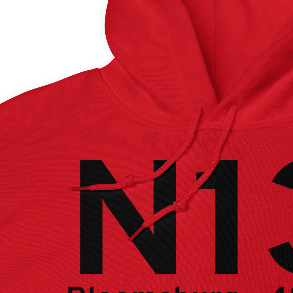Bloomsburg (KN13) Airport Hoodie Sweatshirt 