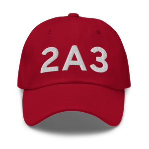 Larsen Bay (PALB) Airport Hat