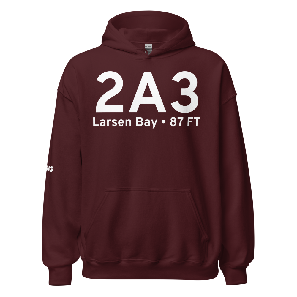 Larsen Bay (PALB) Airport Hoodie Sweatshirt 