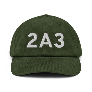 Larsen Bay (PALB) Airport Hat