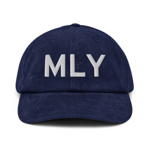 Manley Hot Springs (PAML) Airport Hat