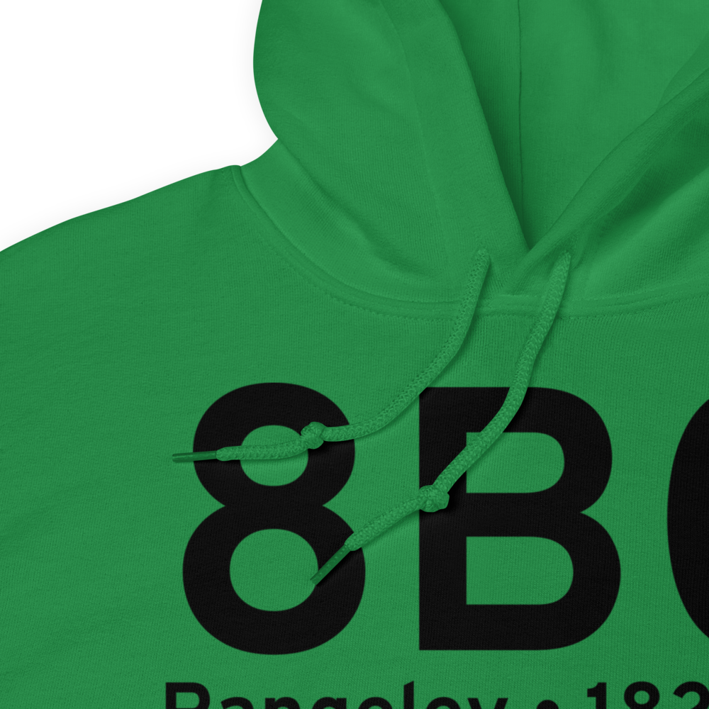 Rangeley (K8B0) Airport Hoodie Sweatshirt 
