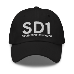 Soldotna (SD1) Airport Hat