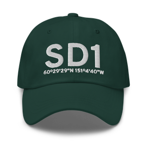 Soldotna (SD1) Airport Hat