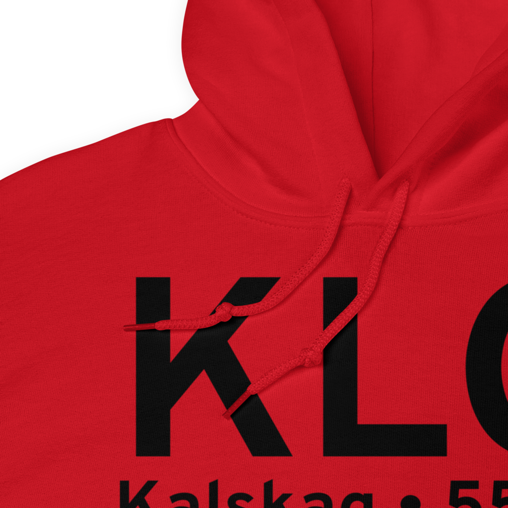 Kalskag (PALG) Airport Hoodie Sweatshirt 