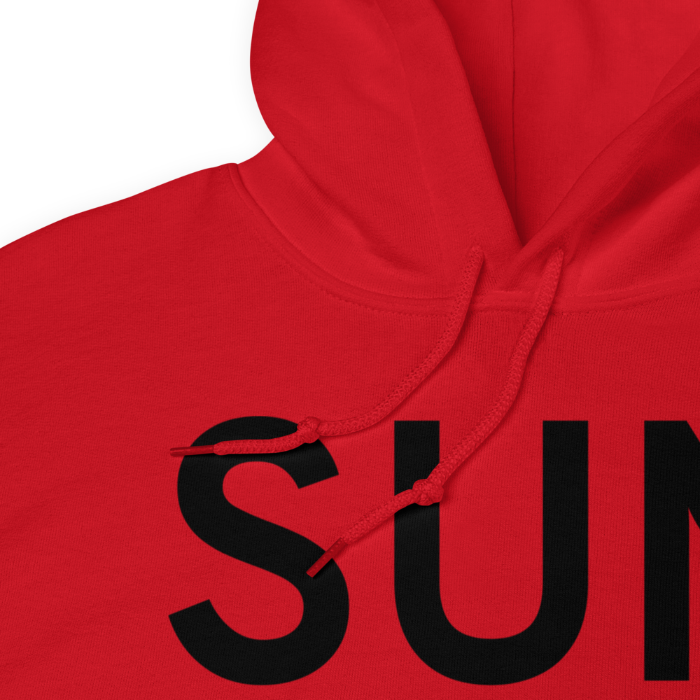 Hailey (KSUN) Airport Hoodie Sweatshirt 