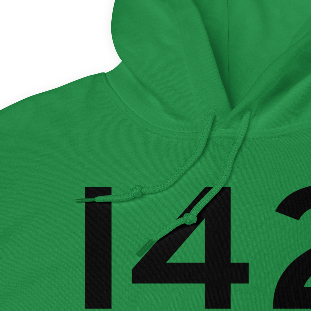 Paoli (I42) Airport Hoodie Sweatshirt 