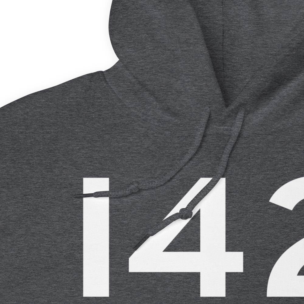 Paoli (I42) Airport Hoodie Sweatshirt 