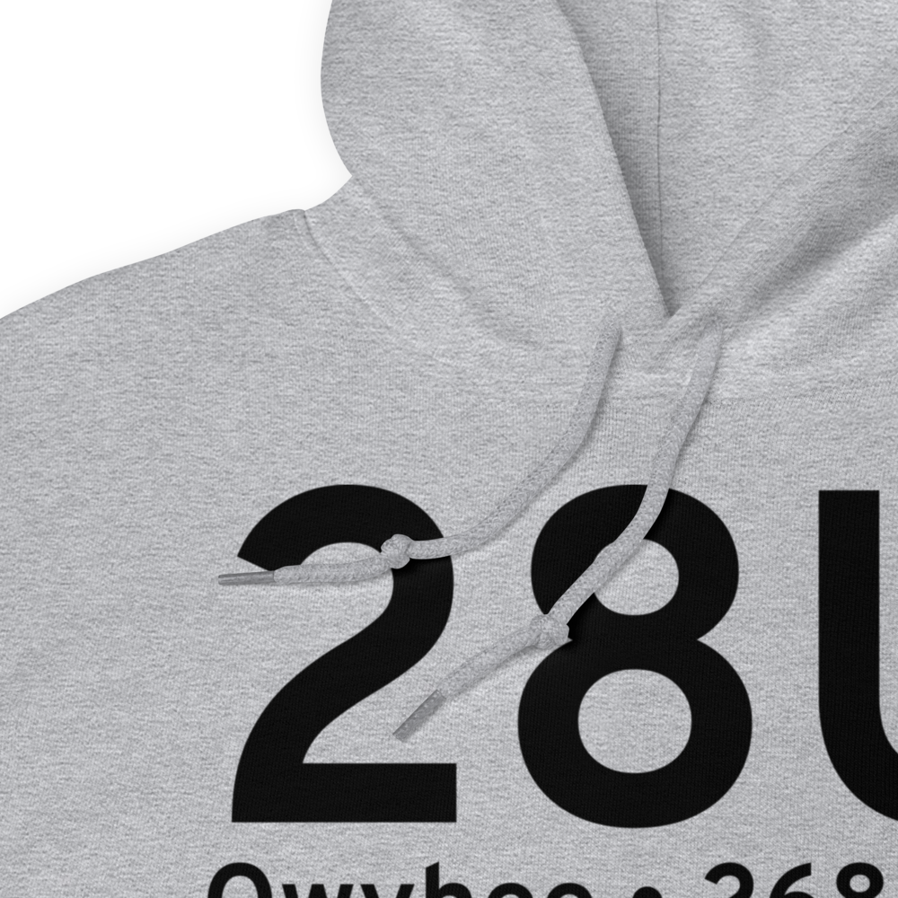 Owyhee (28U) Airport Hoodie Sweatshirt 