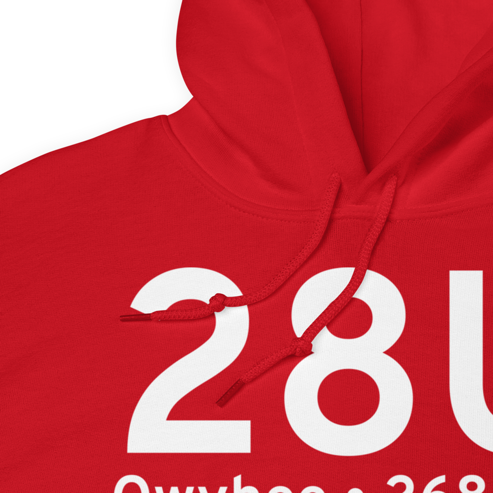 Owyhee (28U) Airport Hoodie Sweatshirt 