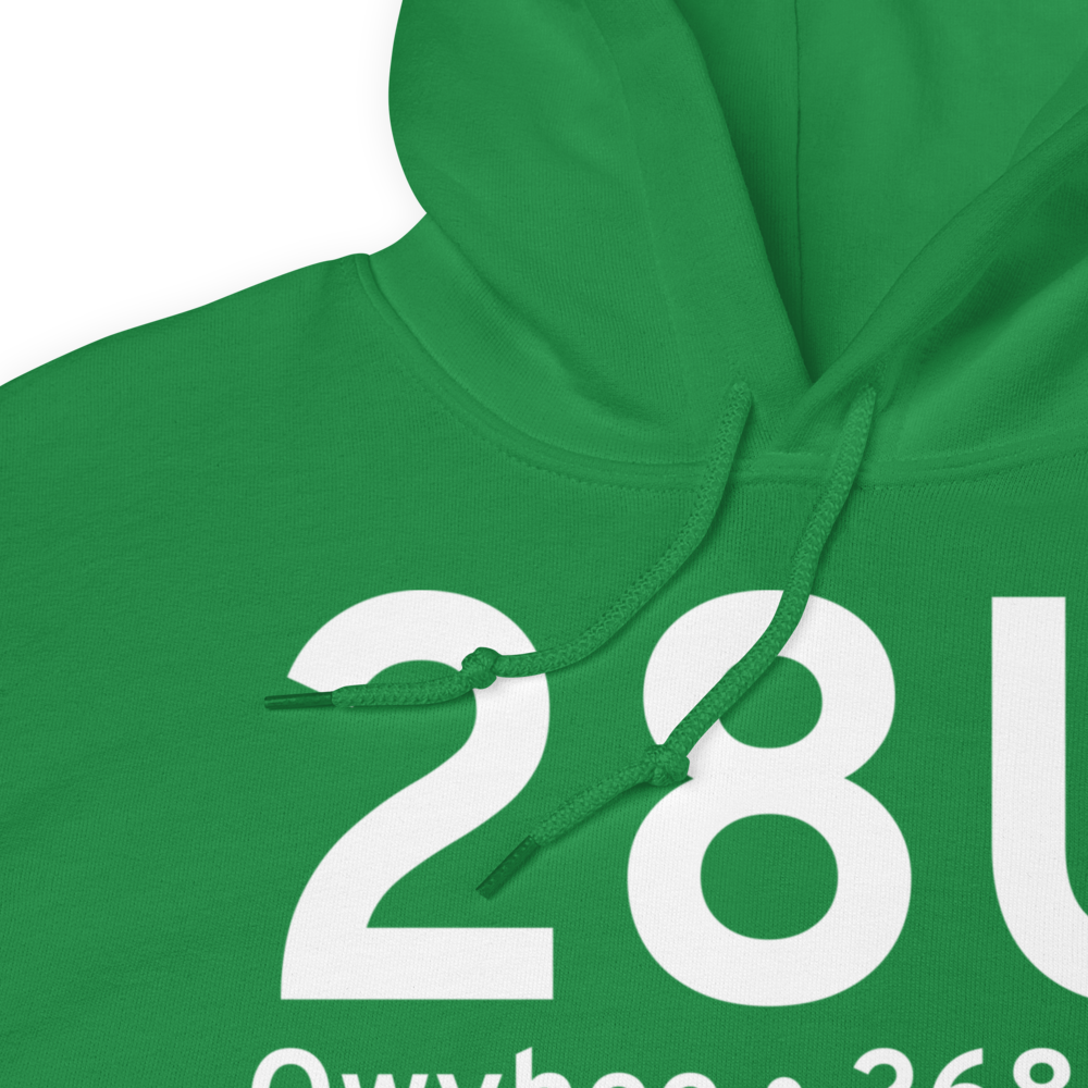 Owyhee (28U) Airport Hoodie Sweatshirt 