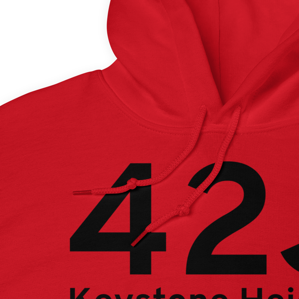 Keystone Heights (K42J) Airport Hoodie Sweatshirt 