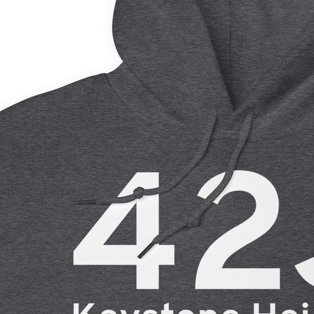 Keystone Heights (K42J) Airport Hoodie Sweatshirt 