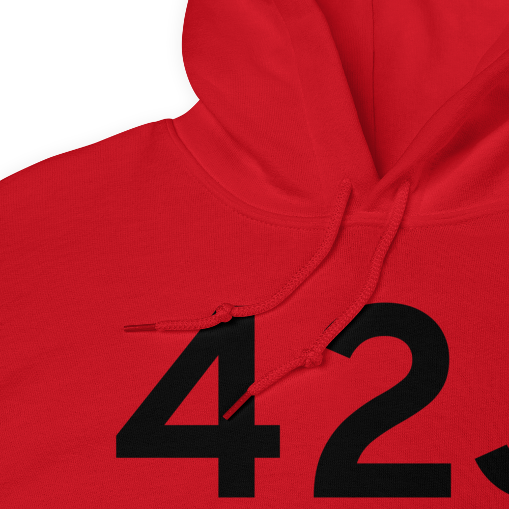 Keystone Heights (K42J) Airport Hoodie Sweatshirt 