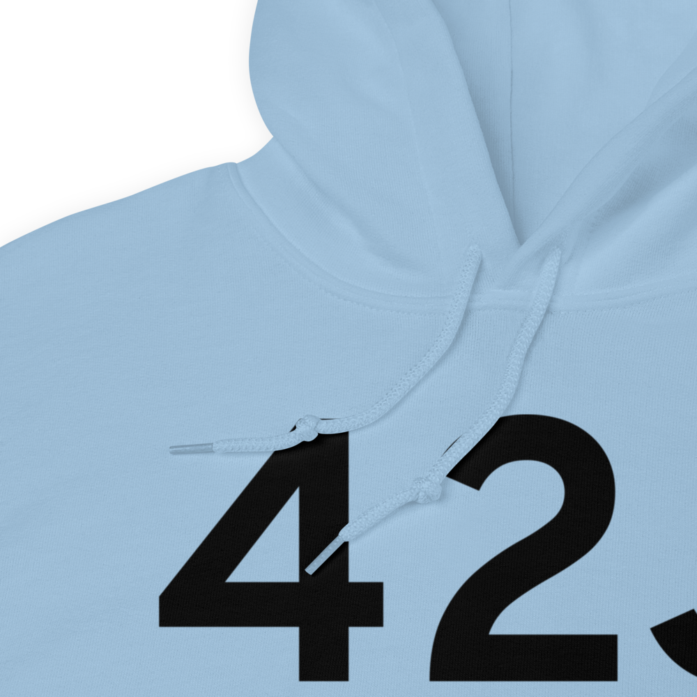 Keystone Heights (K42J) Airport Hoodie Sweatshirt 