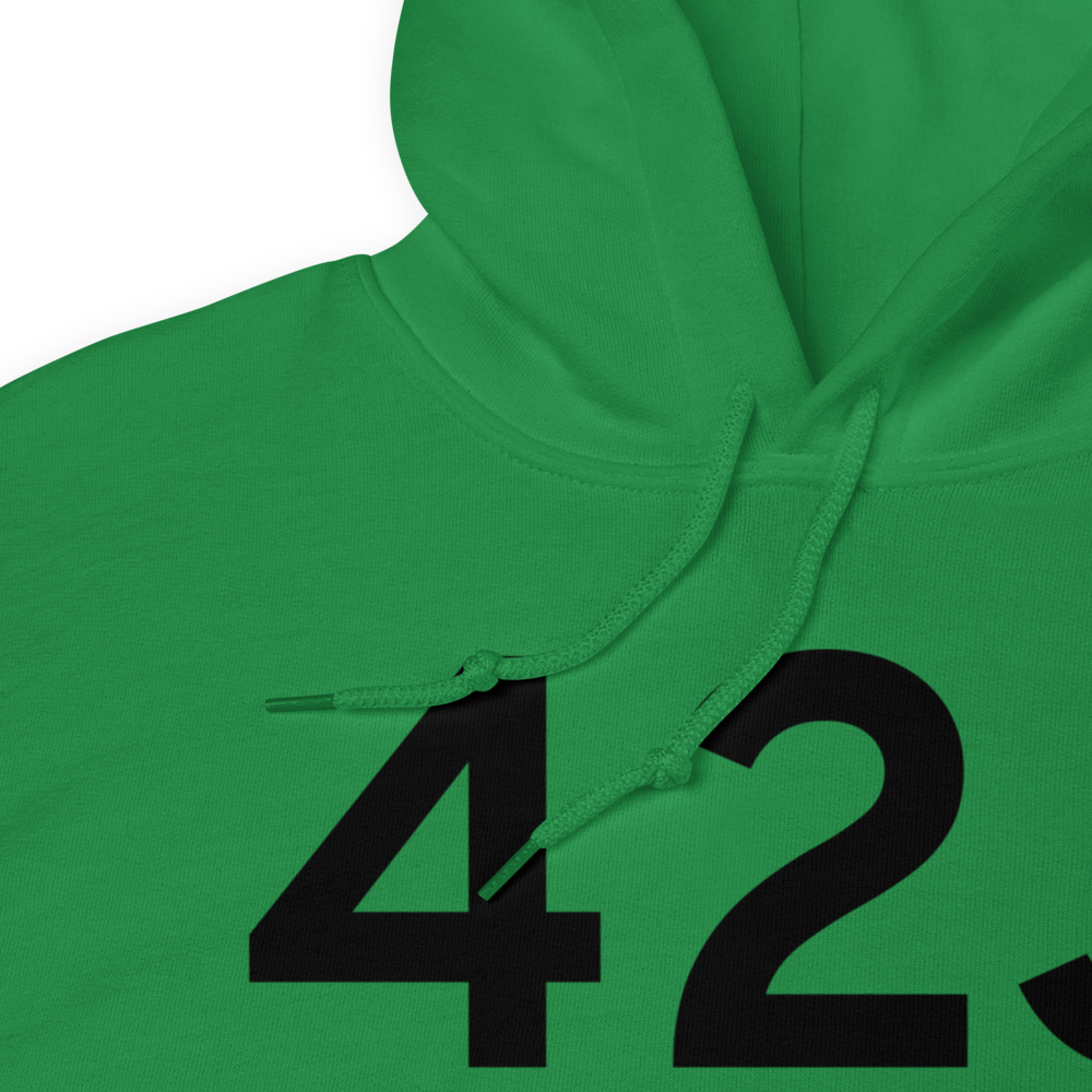 Keystone Heights (K42J) Airport Hoodie Sweatshirt 