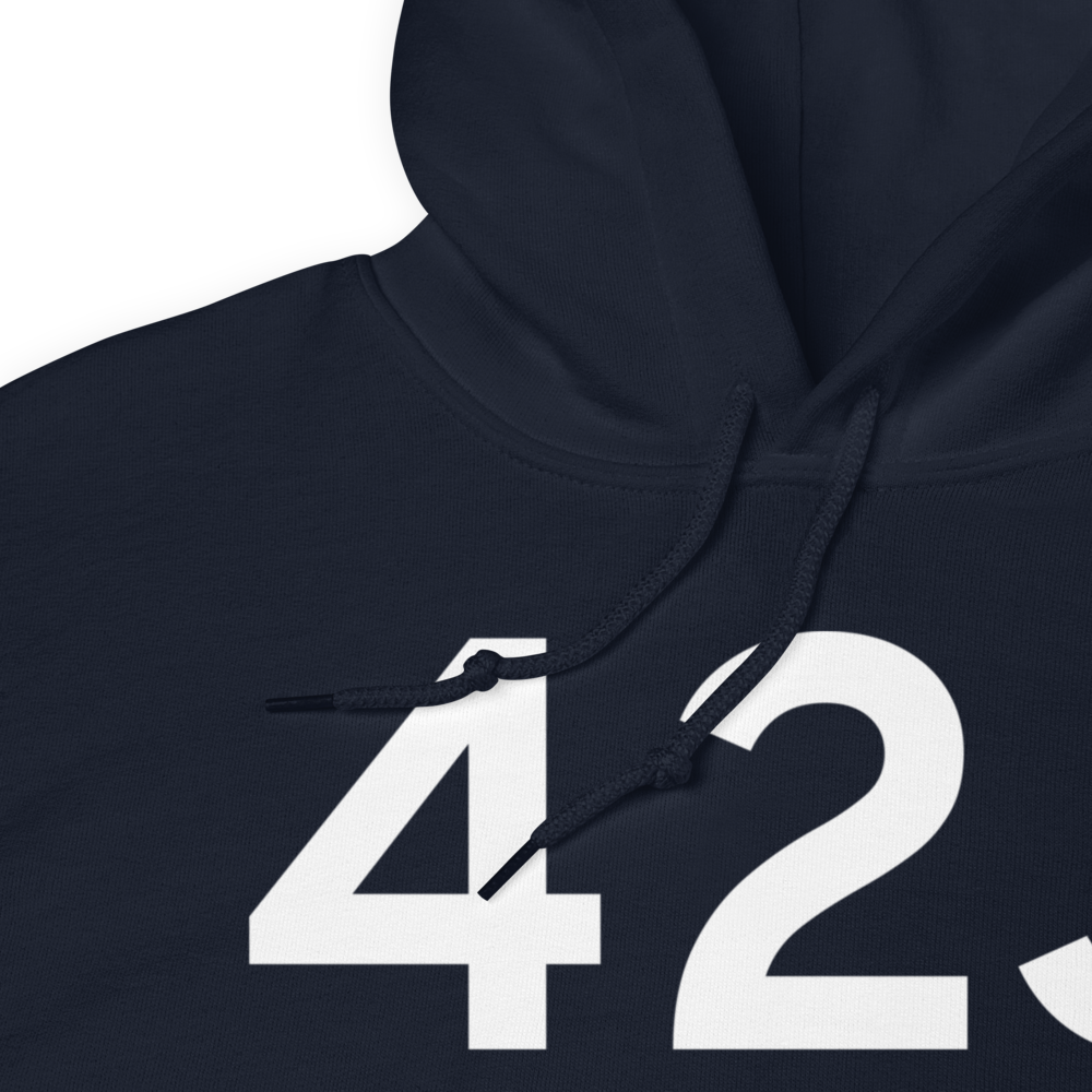 Keystone Heights (K42J) Airport Hoodie Sweatshirt 