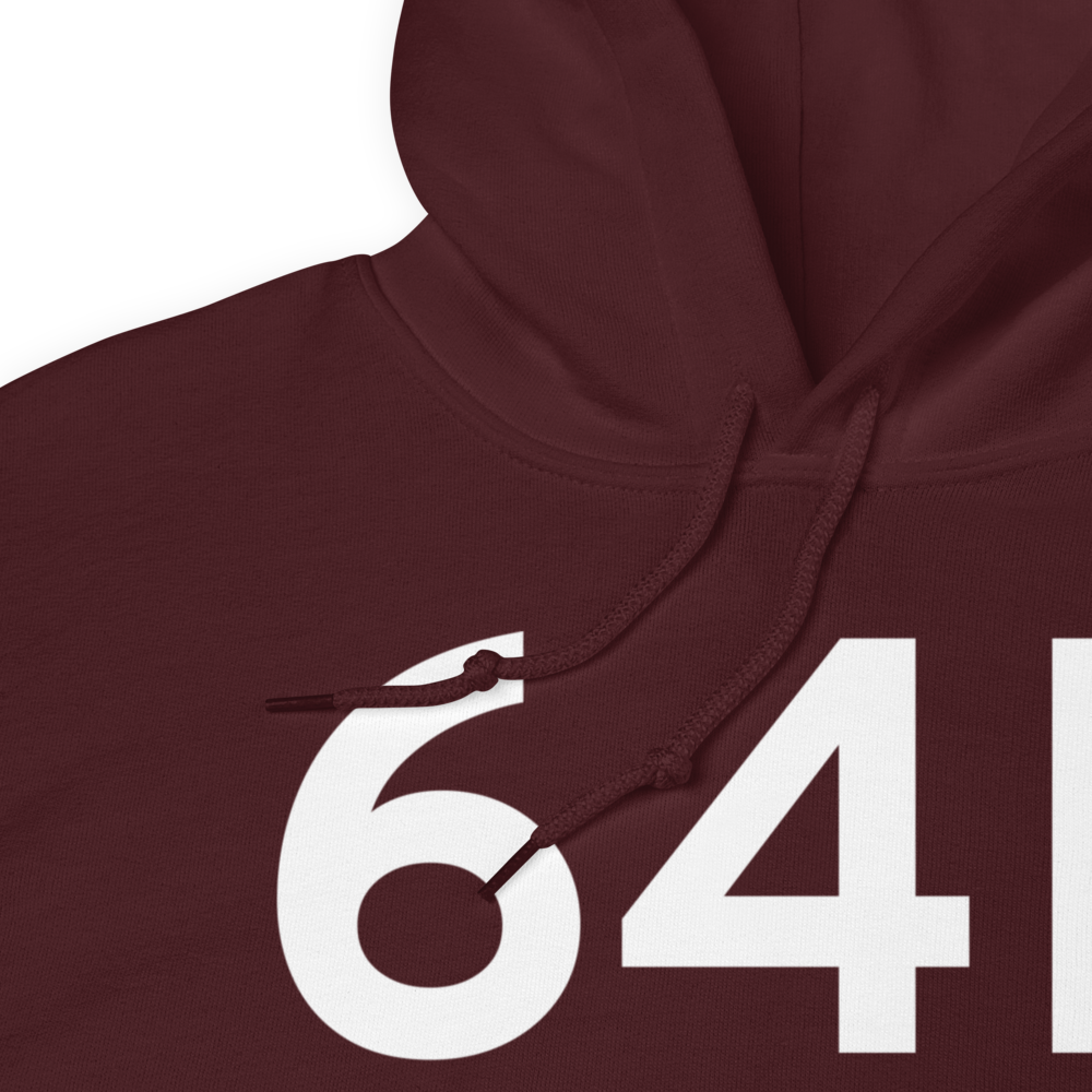 Sterling City (64F) Airport Hoodie Sweatshirt 