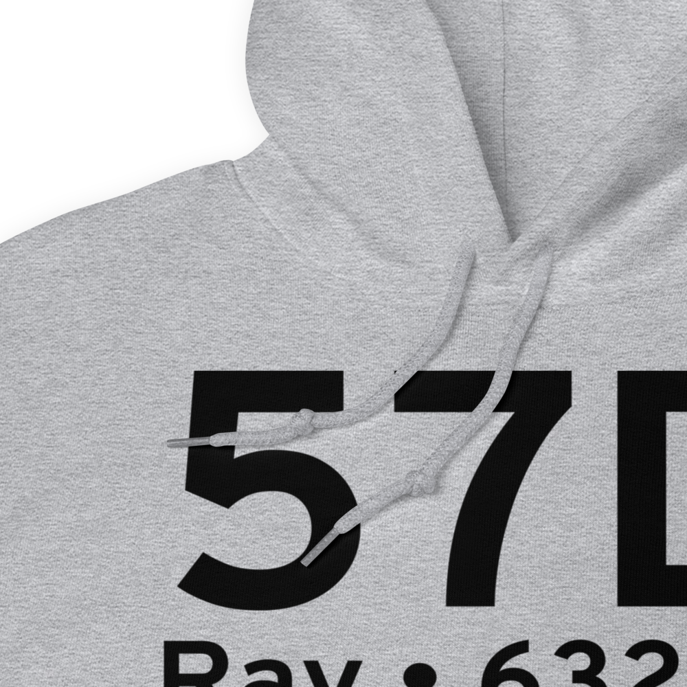 Ray (57D) Airport Hoodie Sweatshirt 