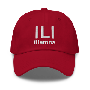 Iliamna (PAIL) Airport Hat