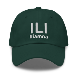 Iliamna (PAIL) Airport Hat