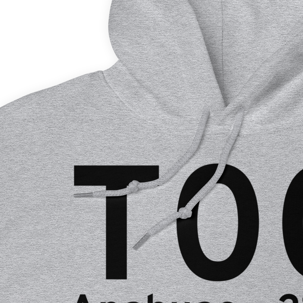 Anahuac (KT00) Airport Hoodie Sweatshirt 