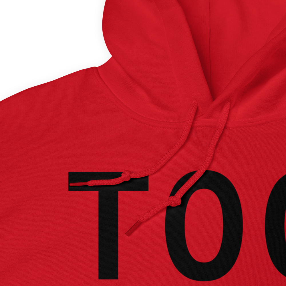 Anahuac (KT00) Airport Hoodie Sweatshirt 