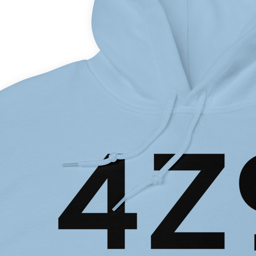 Jakolof Bay (4Z9) Airport Hoodie Sweatshirt 