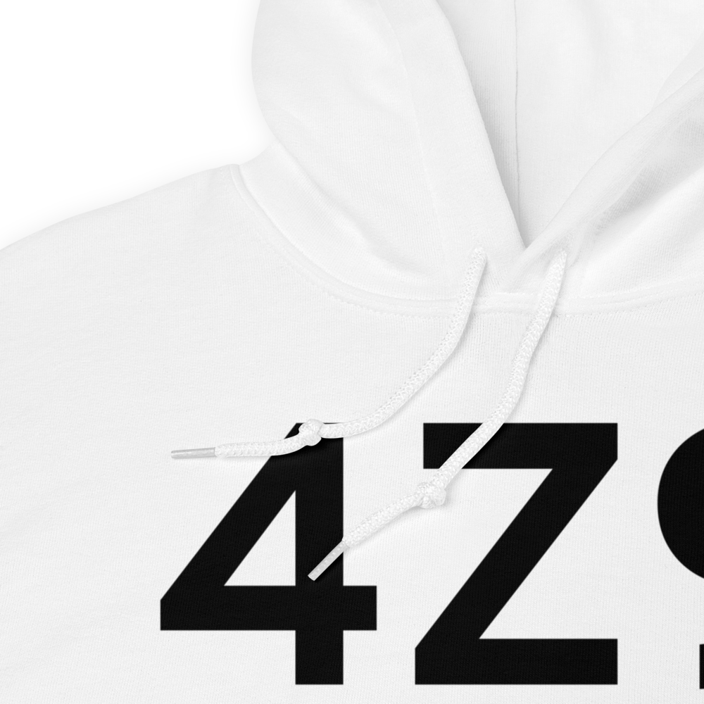 Jakolof Bay (4Z9) Airport Hoodie Sweatshirt 