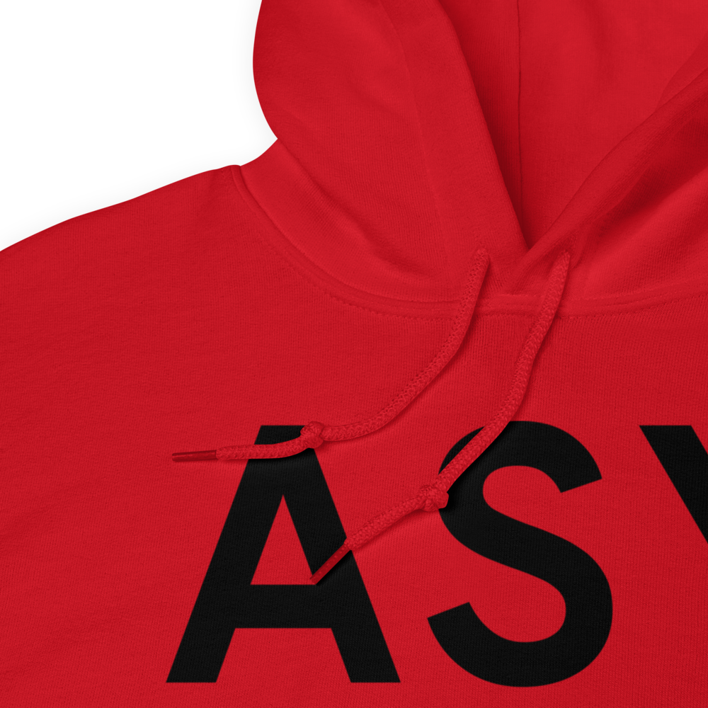 Ashley (KASY) Airport Hoodie Sweatshirt 