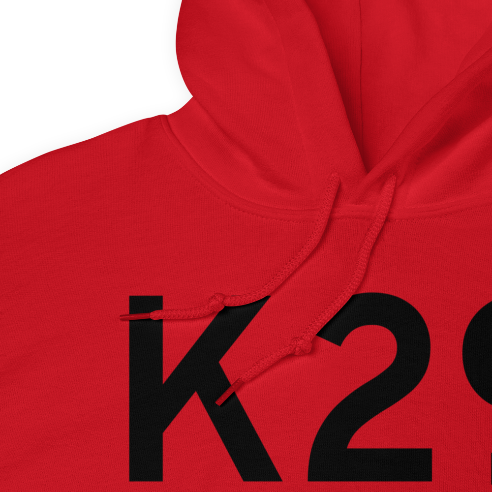 Council (K29) Airport Hoodie Sweatshirt 
