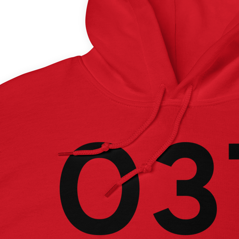 Orland (KO37) Airport Hoodie Sweatshirt 